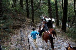 horse riding around Nakki Lake